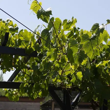 Appartement Maison 4 Entierement Renovee, Literie, Terrasse & Parking Gratuit A Nieuwpoort-stad By La Conciergerie Nieuwpoort